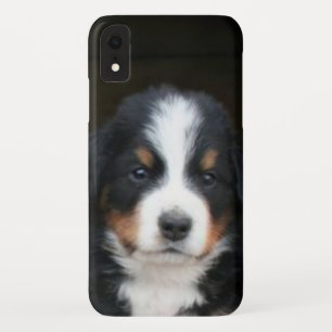 Bernese Berghond Puppy iphone Xr Speck Hoes