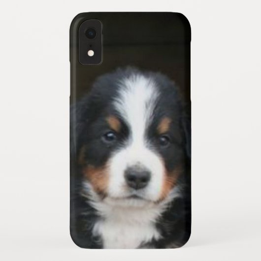 Bernese Berghond Puppy iphone Xr Speck Hoes (Achterkant)