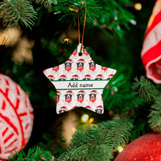 Bernese Berghond Ras Kerstmis Keramisch Ornament