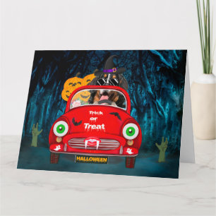 Bernese Berghond Rijdt Auto Griezelen Halloween Kaart
