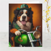 Bernese Berghond rijdt op een fiets op St. Patrick Kaart (Gele Bloem)