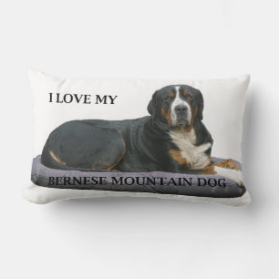 bernese berghond roest vol liggend liefde w afb.j kussen