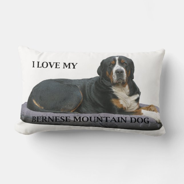 bernese berghond roest vol liggend liefde w afb.j kussen (Voorkant)