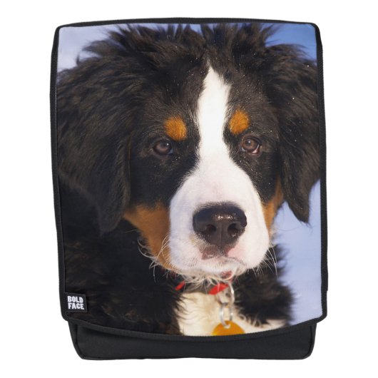 Bernese Berghond Rugtassen (Voorkant)