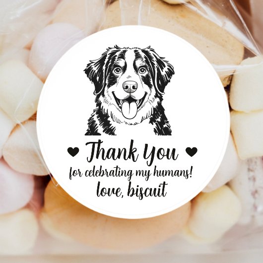 Bernese Berghond Trouwgunststickers Ronde Sticker