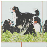 Bernese berghonden in het gras stof (Close Up)