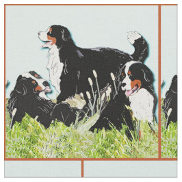 Bernese berghonden in het gras stof