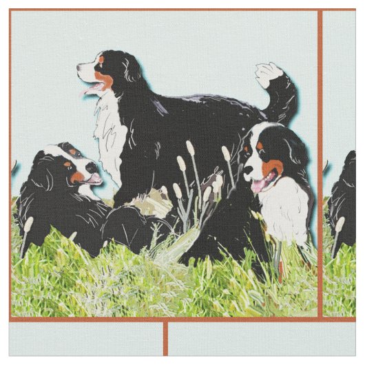 Bernese berghonden in het gras stof (Close Up)