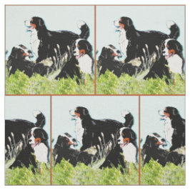 Bernese berghonden in het gras stof