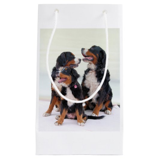 bernese bernese hond klein cadeauzakje (Voorkant)