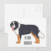 Bernese cartoon van berghond briefkaart (Voorkant / Achterkant)