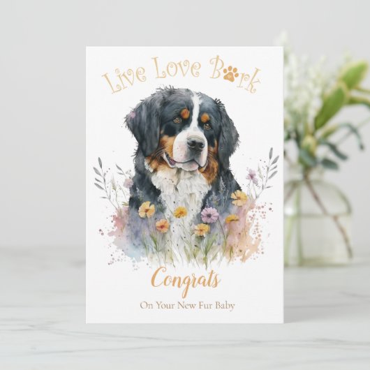 Bernese Hond Adoptie, Gotcha Dag Kaart (Staand voorkant)