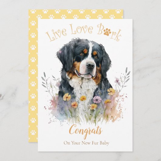 Bernese Hond Adoptie, Gotcha Dag Kaart (Voorkant / Achterkant)