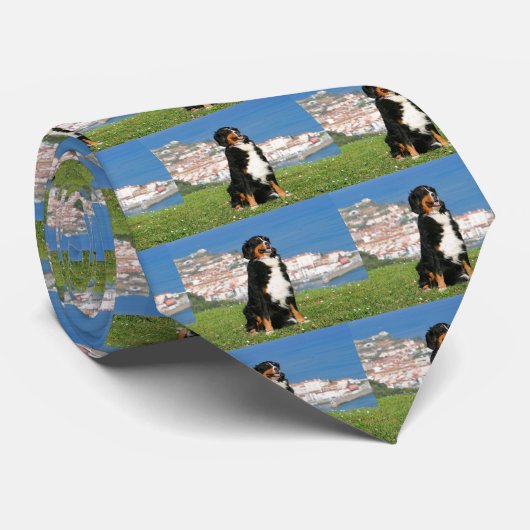 Bernese hond die op het strand poogt stropdas (Opgerold)