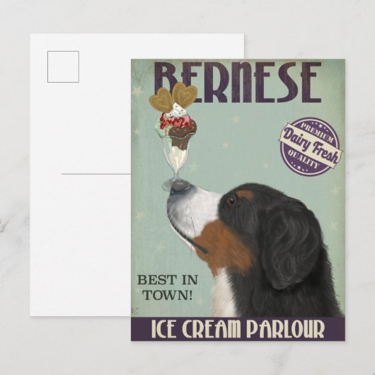 Bernese Ice Cream Briefkaart (Voorkant / Achterkant)