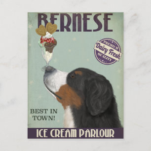 Bernese Ice Cream Briefkaart