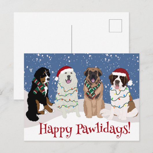 Bernese Leonberger Great Pyrenees Briefkaart (Voorkant / Achterkant)