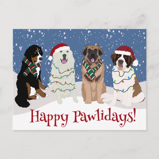 Bernese Leonberger Great Pyrenees Briefkaart (Voorkant)