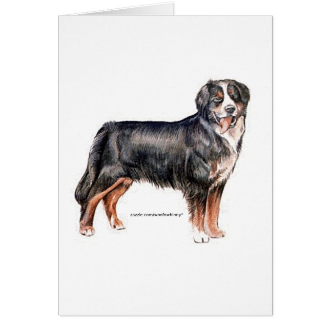 Bernese Mountain Dog (Voorkant)