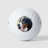 bernese-mountain-dog-10 golfballen (Voorkant)