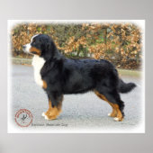 Bernese Mountain Dog 9T066D-221 Poster (Voorkant)