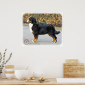 Bernese Mountain Dog 9T066D-221 Poster (Keuken)