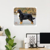 Bernese Mountain Dog 9T066D-221 Poster