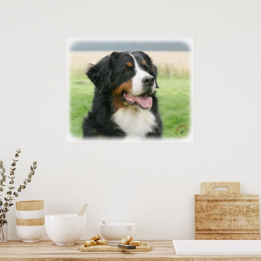 Bernese Mountain Dog 9Y066D-046 Poster (Keuken)