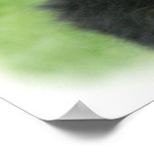 Bernese Mountain Dog 9Y066D-046 Poster (Hoek)