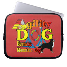 Bernese Mountain Dog Agility
