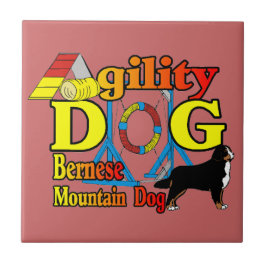 Bernese Mountain Dog Agility Tegeltje