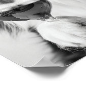 Bernese Mountain Dog and Wine Wall Art, Black and Poster (Hoek)