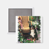 Bernese Mountain Dog Art Gifts Magneet (Voorkant / Achterkant)
