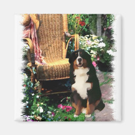 Bernese Mountain Dog Art Gifts Magneet