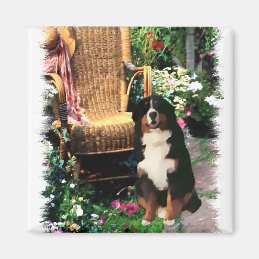 Bernese Mountain Dog Art Gifts Magneet (Voorkant)