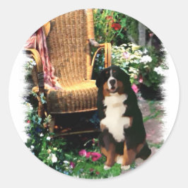 Bernese Mountain Dog Art Gifts Ronde Sticker