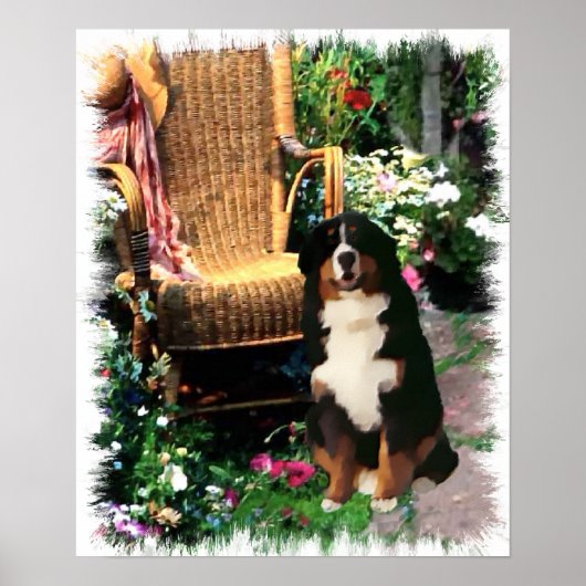 Bernese Mountain Dog Art Print (Voorkant)