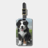 Bernese Mountain Dog bagagelabel (Voorkant verticaal)