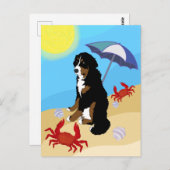 Bernese Mountain Dog Beach Briefkaart (Voorkant / Achterkant)