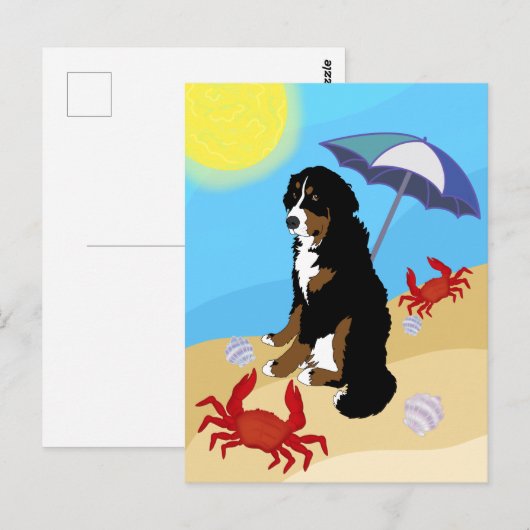 Bernese Mountain Dog Beach Briefkaart (Voorkant / Achterkant)