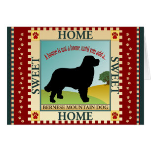 Bernese Mountain Dog (Berner)