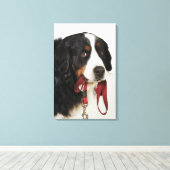 Bernese Mountain Dog (Berner Sennenhund) met Canvas Afdruk (Insitu (Houten vloer))