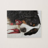 Bernese Mountain Dog (Berner Sennenhund) met Legpuzzel (Horizontaal)