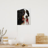 Bernese Mountain Dog (Berner Sennenhund) met Poster (Keuken)