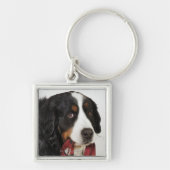 Bernese Mountain Dog (Berner Sennenhund) met Sleutelhanger (Voorkant)