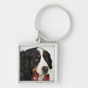 Bernese Mountain Dog (Berner Sennenhund) met Sleutelhanger