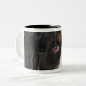 Bernese Mountain Dog (Berner Sennenhund) met Tweekleurige Koffiemok (Voorkant links)