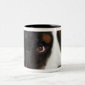 Bernese Mountain Dog (Berner Sennenhund) met Tweekleurige Koffiemok (Center)