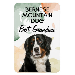 Bernese Mountain Dog Best Grandma Magnet Magneet