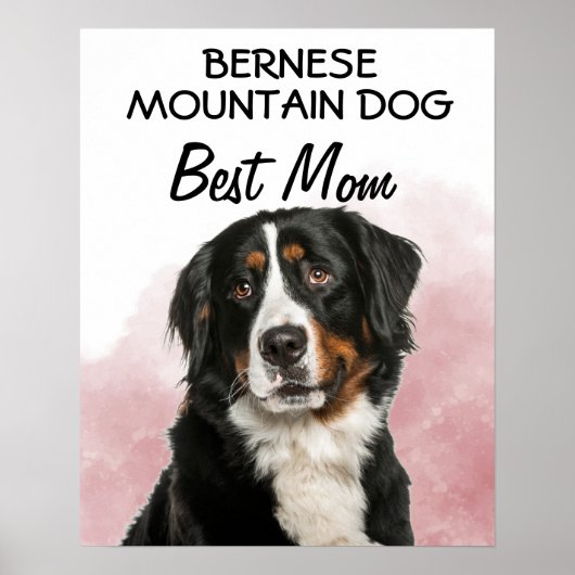 Bernese Mountain Dog Best mama Poster (Voorkant)
